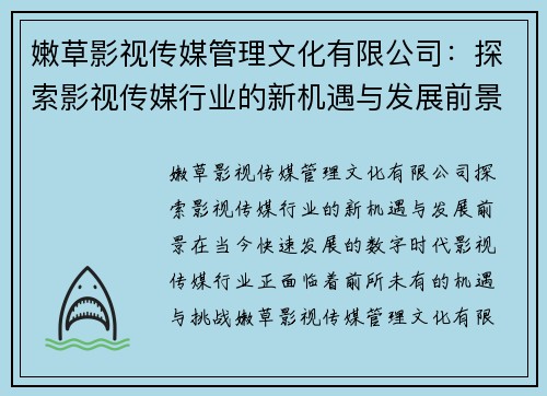 嫩草影视传媒管理文化有限公司：探索影视传媒行业的新机遇与发展前景
